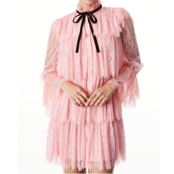 NWT Alice and Olivia Joanie Tiered Ruffle Dress Sz. 0 - Picture 4 of 13